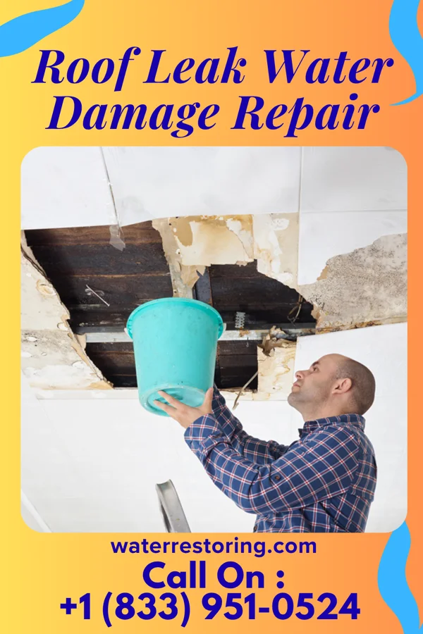 Roof Leak Water Damage Repair in Enemy Swim, SD